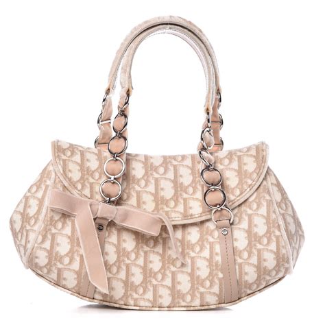 dior trotter cloth handbag cost.